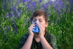 Аллергические реакции на сорные травы